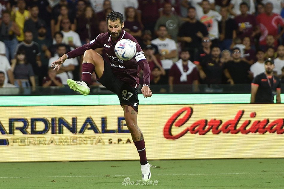 相比引进外 相比引进外